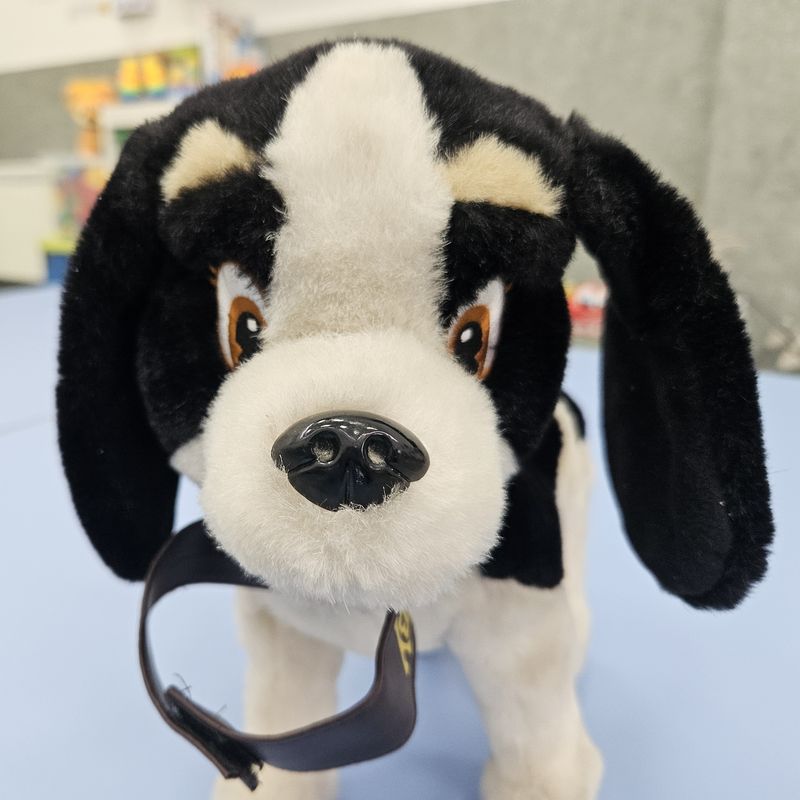 Pepo, a black and white toy puppy